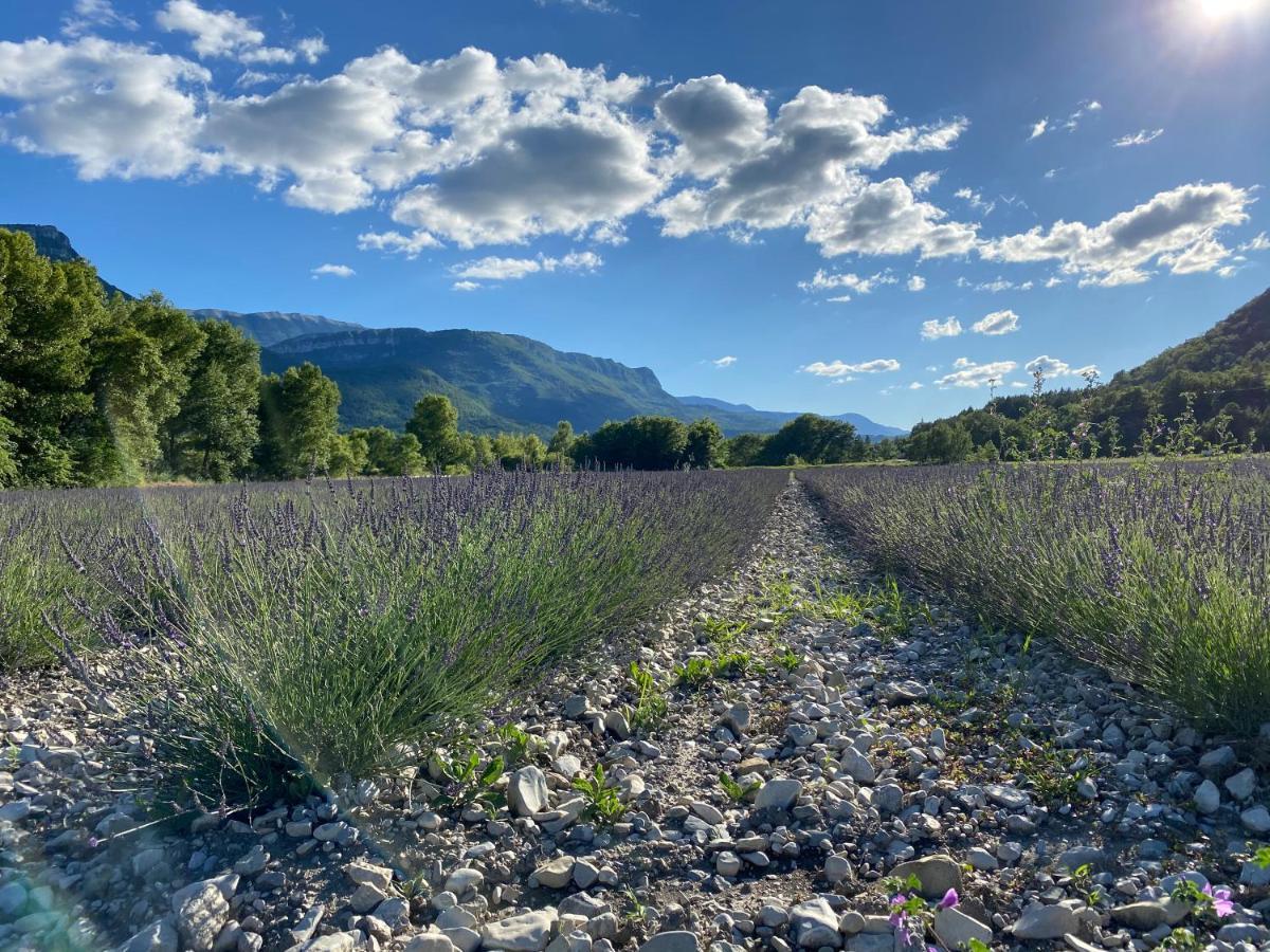 Gite En Haute Provence Montfroc Dış mekan fotoğraf