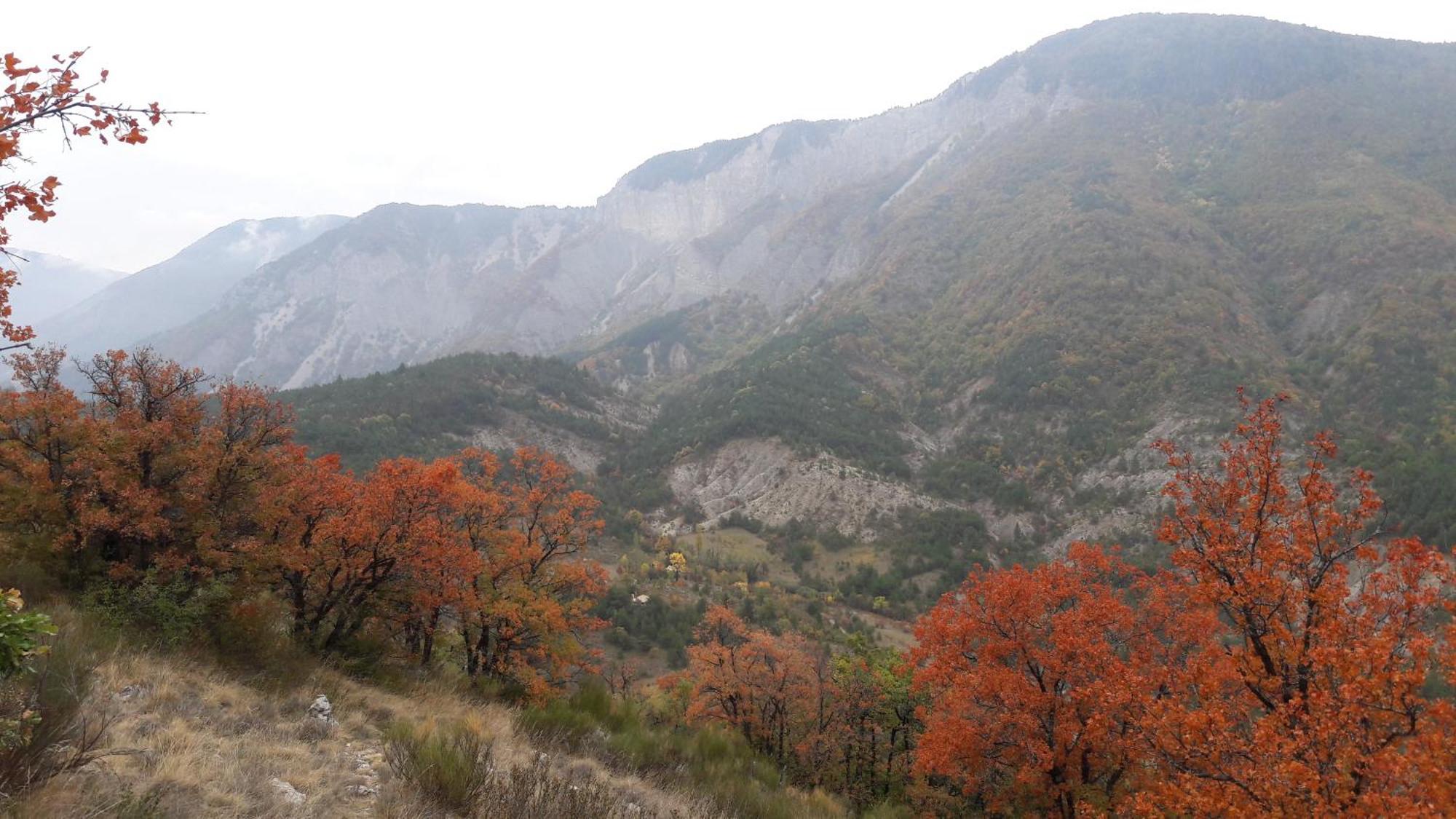 Gite En Haute Provence Montfroc Dış mekan fotoğraf