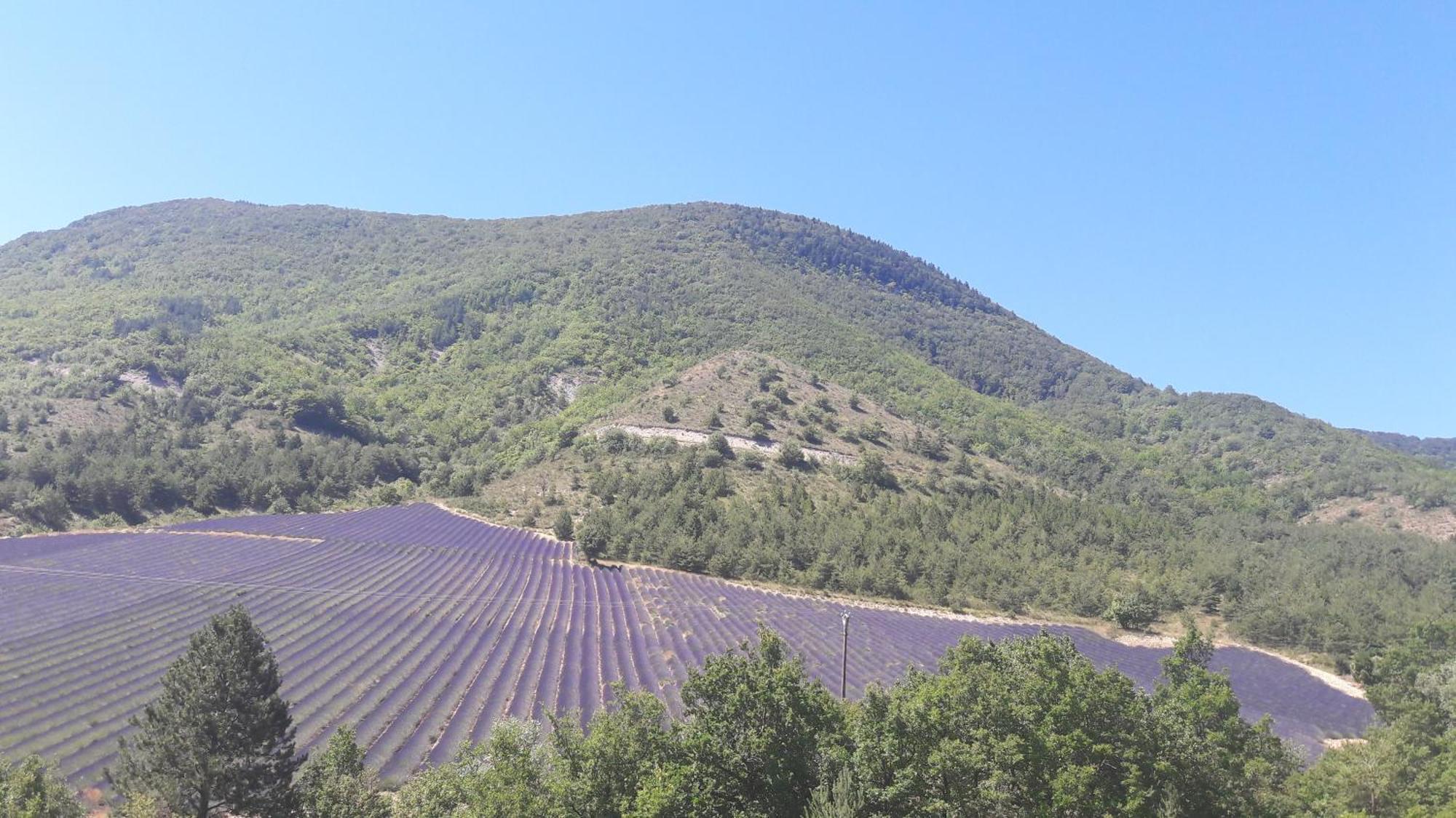 Gite En Haute Provence Montfroc Dış mekan fotoğraf